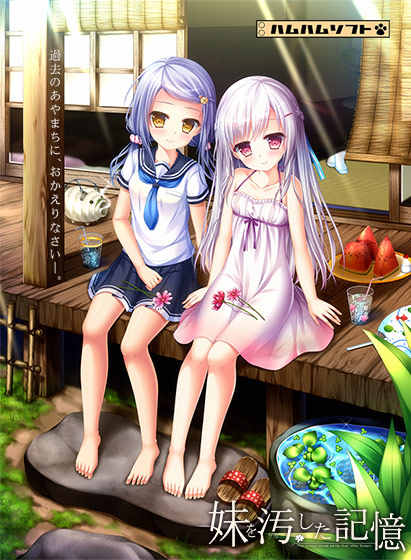 <a href="https://m.idol-blog.com/erogame/imouto/" class="rep_link">妹</a>を汚した記憶’></p>
<table>
<tbody>
<tr>
<th style=